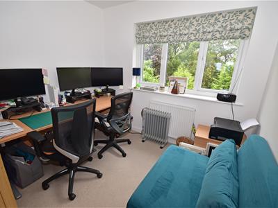 Picture 22